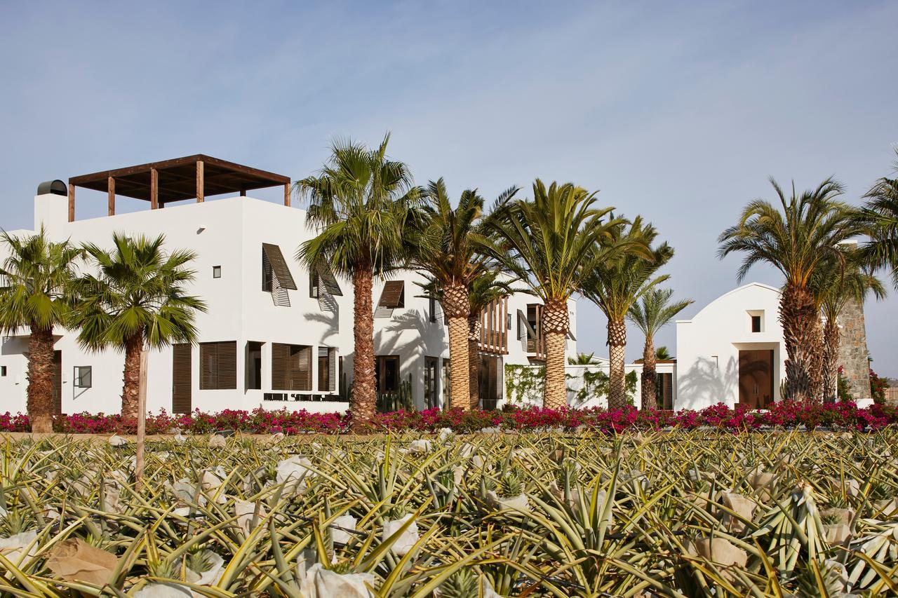 Hotel San Cristobal Adults 15+ Todos Santos Exterior photo
