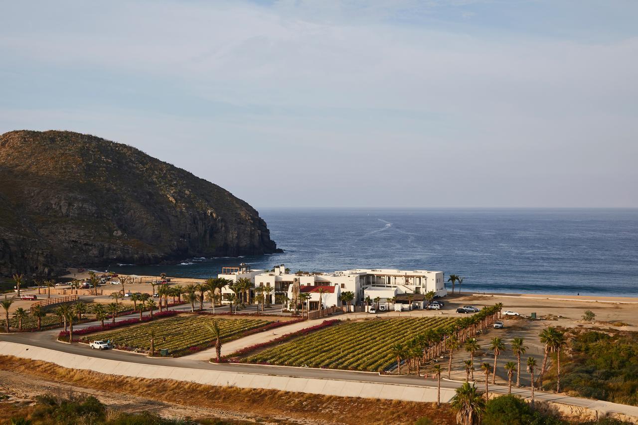 Hotel San Cristobal Adults 15+ Todos Santos Exterior photo