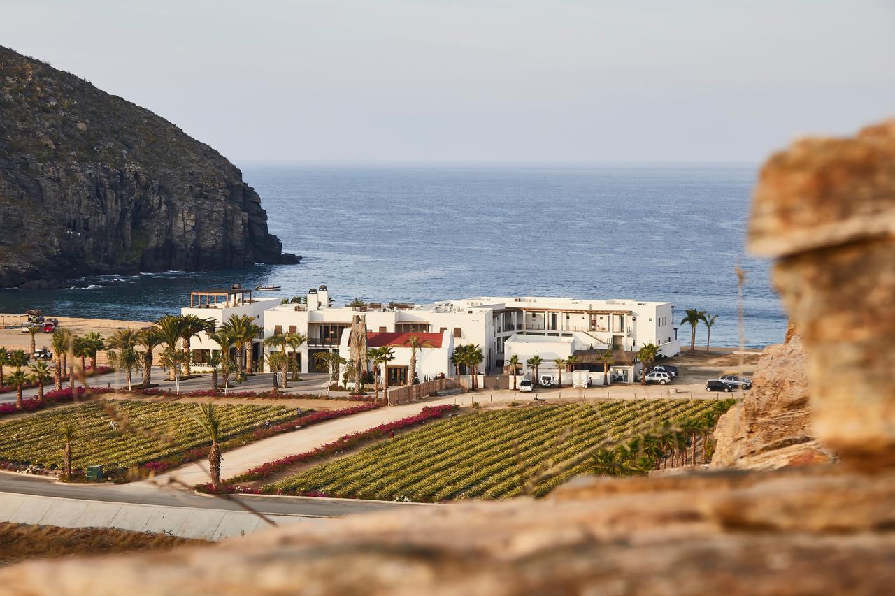 Hotel San Cristobal Adults 15+ Todos Santos Exterior photo