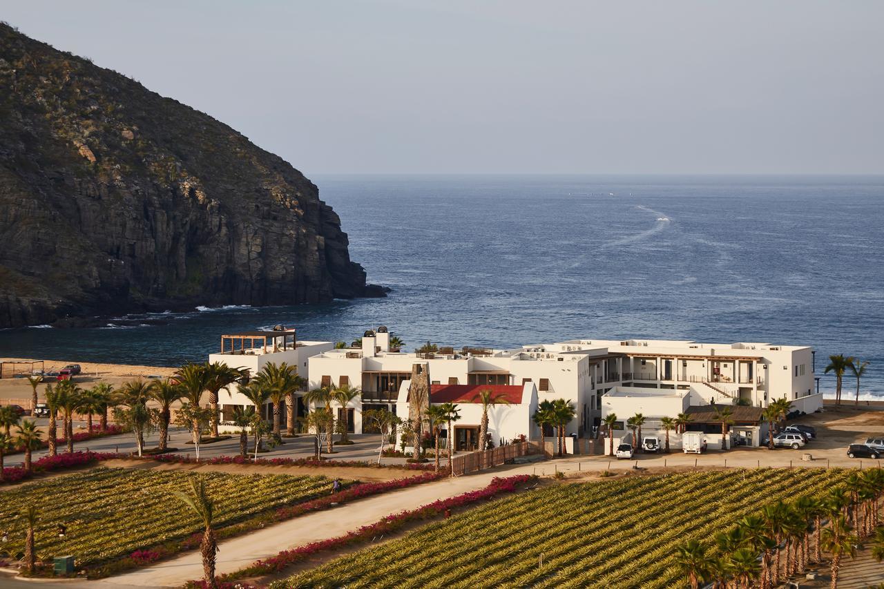 Hotel San Cristobal Adults 15+ Todos Santos Exterior photo
