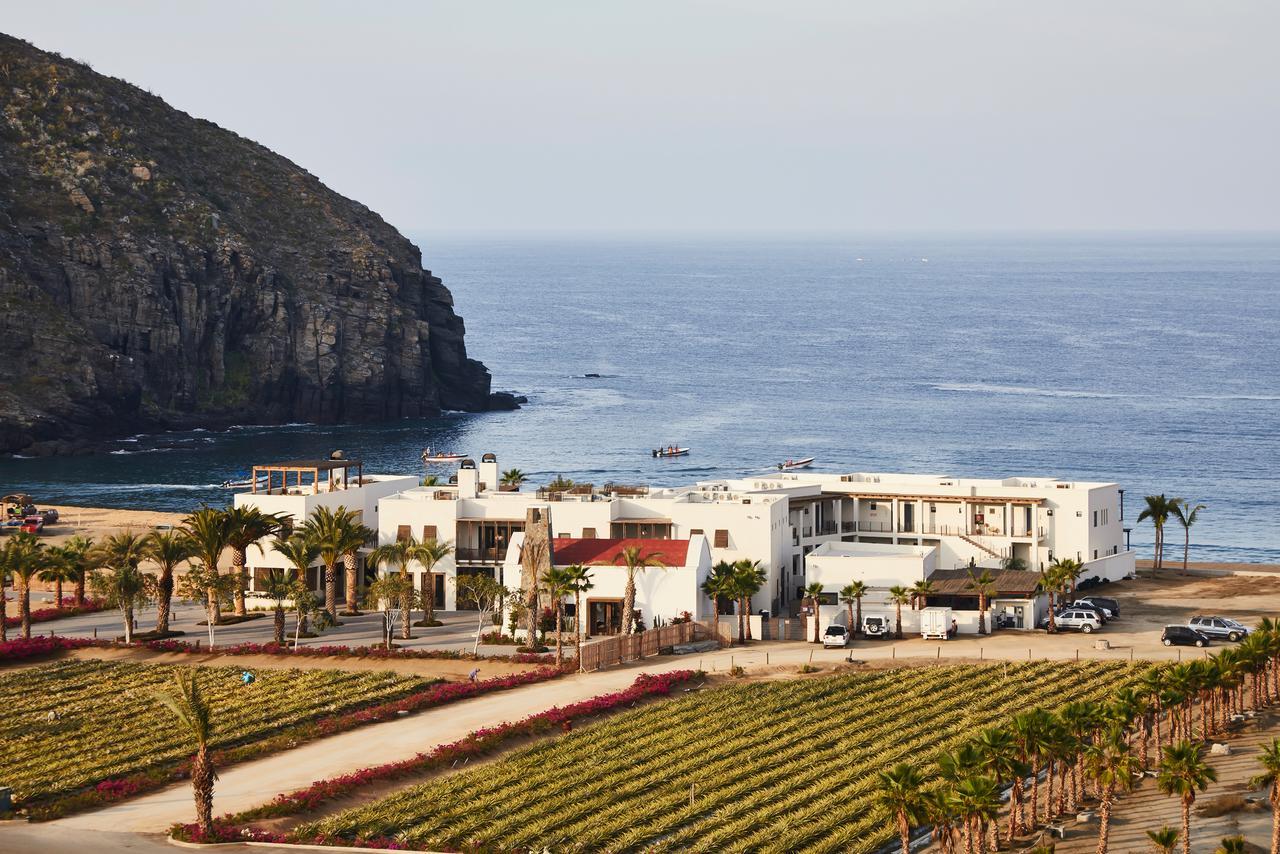 Hotel San Cristobal Adults 15+ Todos Santos Exterior photo