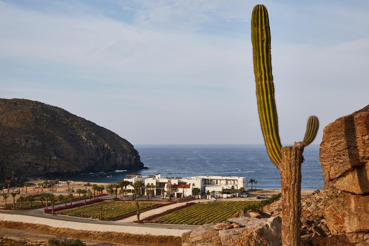 Hotel San Cristobal Adults 15+ Todos Santos Exterior photo